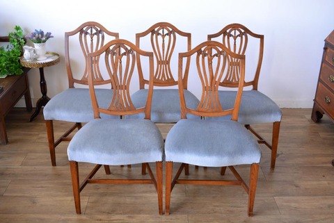 10051711_5d98503509b14