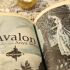 book　40186-28