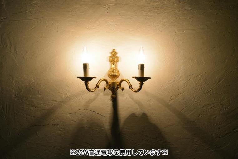 wl175-3  2灯式ウォールランプ