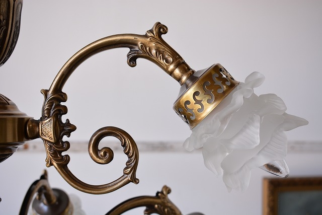 sy269