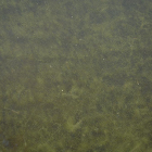 d53