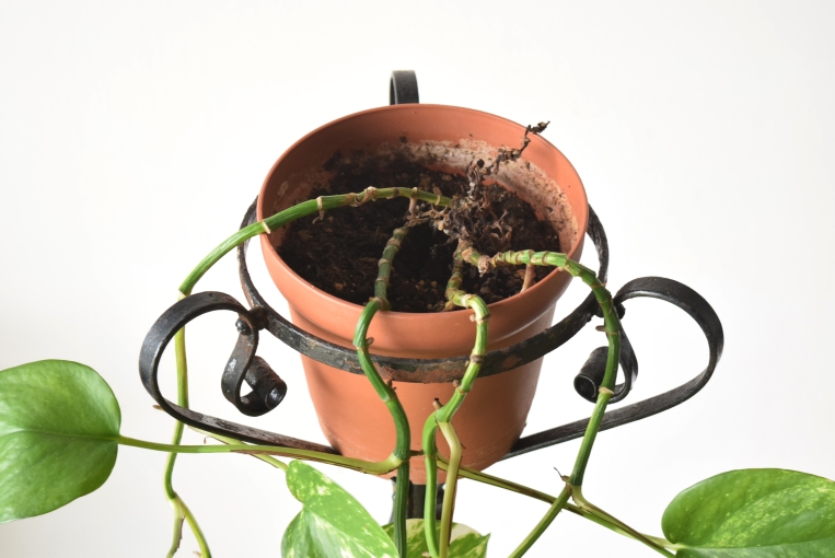 6115　プランタースタンド