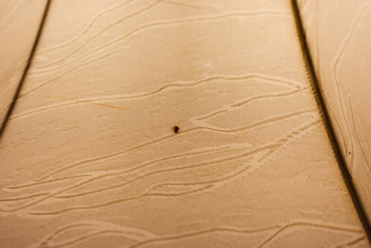 6099　1灯式フロアランプ