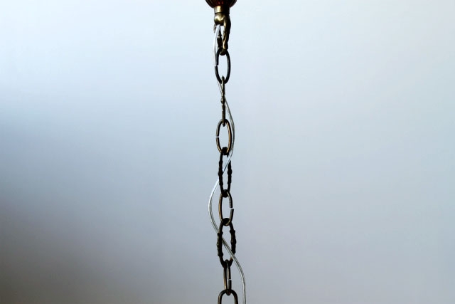51529