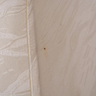 6099　1灯式フロアランプ