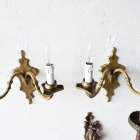 上から見下ろした様子