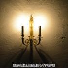 wl175-2  2灯式ウォールランプ