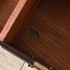 裏側がミラーバック収納になっている珍しいレザートップテーブル【fo237】