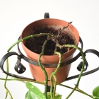 6115　プランタースタンド