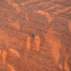 t14　ダイニングテーブル