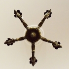 sy264