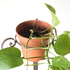 fo49　プランタースタンド