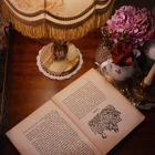 テーブルランプ(1灯式)　sl85