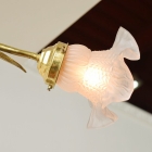 sy259