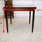 t197　ドローリーフテーブル