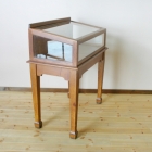 ショーケース　3538