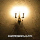 wl175-4  2灯式ウォールランプ