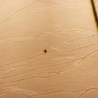 6099　1灯式フロアランプ