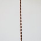 ミューラー兄弟作、ペンダントランプ【rl38】