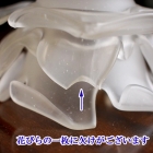 ウォールランプ【単品】シェードセット　03481