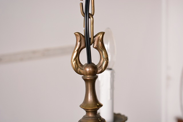 sy239